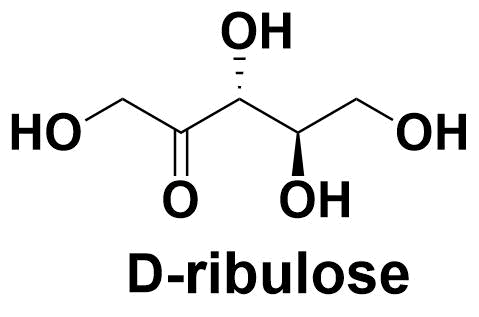 D-ribulose