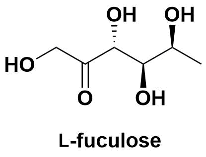 L-fuculose