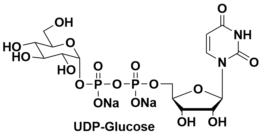 UDP-Glucose