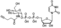 UDP-2-alkynyl-GlcNAc