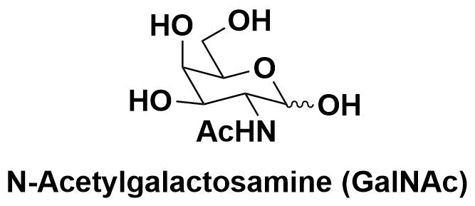 N-Acetylgalactosamine (GalNAc)