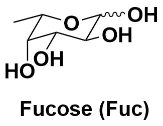 L-Fucose