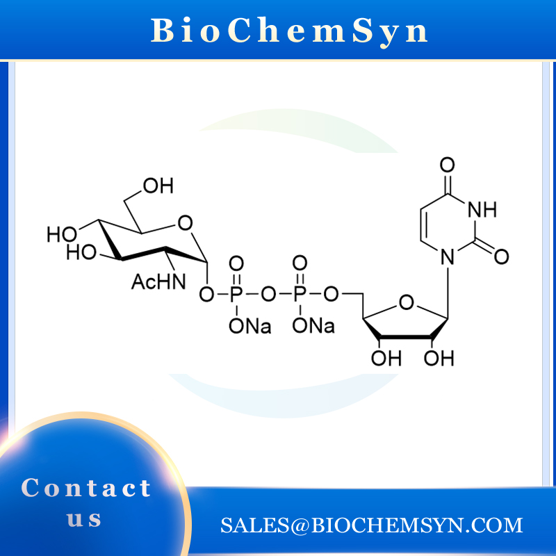 UDP-N-acetyl-D-glucosamine