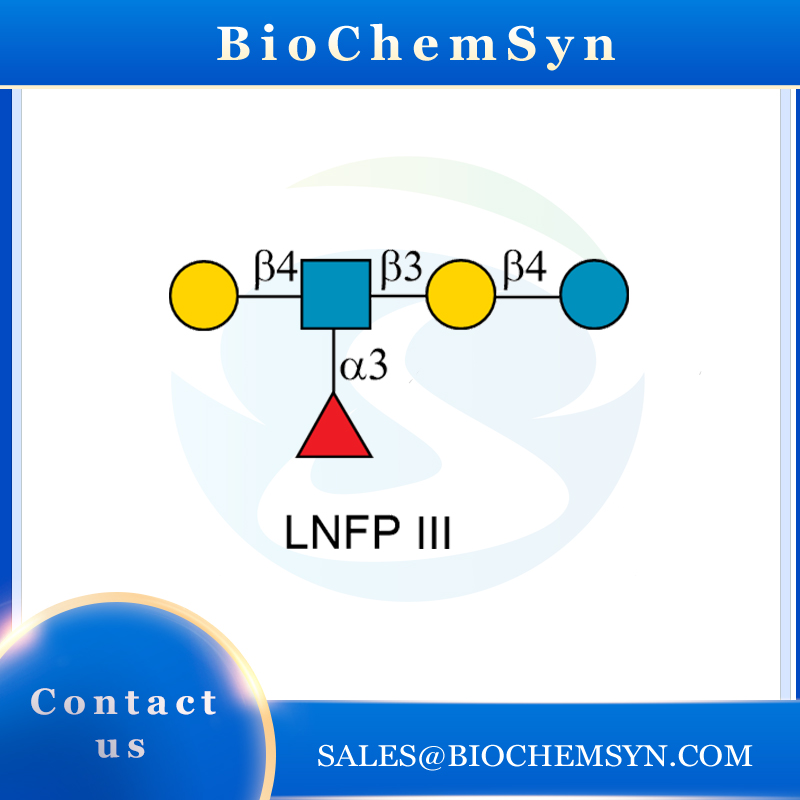 Lacto-N-fucopentaose III