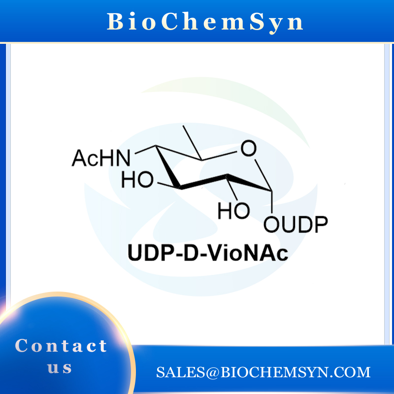 UDP-D-VioNAc