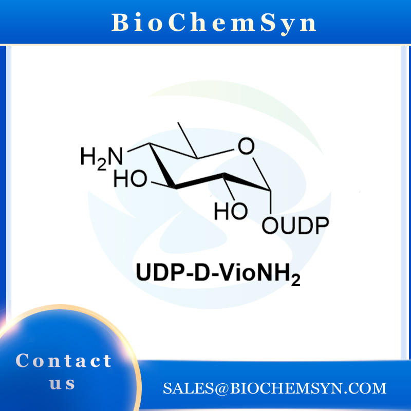 UDP-D-VioNH2